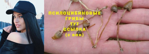 дмт Бронницы