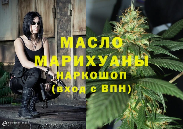 молекула духа Бородино