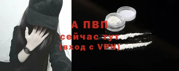 молекула духа Бородино