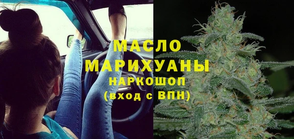 шишки Верея
