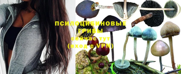 тгк Верхний Тагил