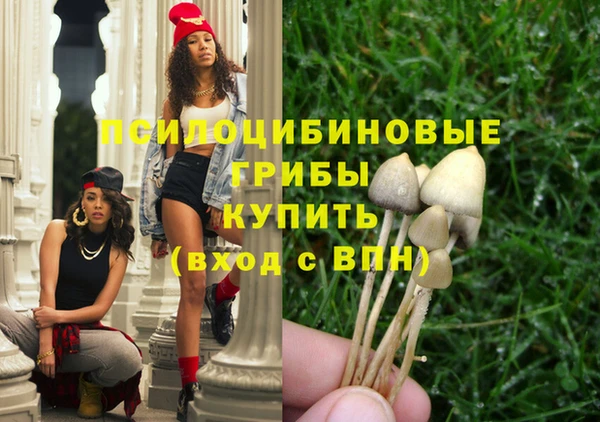 молекула духа Бородино