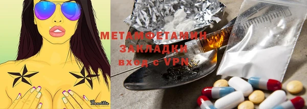 шишки Верея