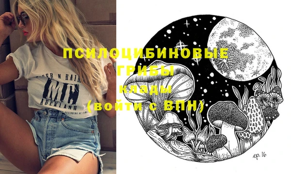шишки Верея