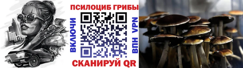 Купить где  Дубна  Галлюциногенные грибы MAGIC MUSHROOMS 